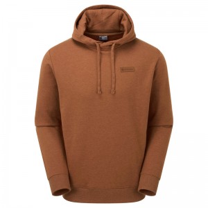 Montane Mono Logo Hoodie Herren Braun | BYAF-84561