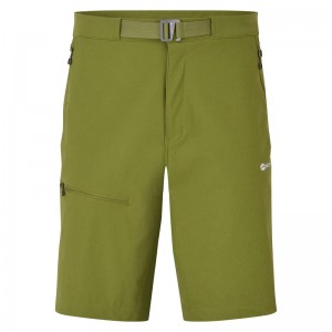 Montane Tenacity Kurze Hose Herren Grün | NGRM-56408